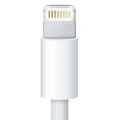 Recharge + synchronization Cable - USB - iPod / iPhone / iPad - Lightning